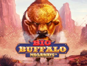 game logo by Skywind Group on spin-macho.org.pl