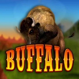 Buffalo Bingo online game logo by MGA Games on spin-macho.org.pl
