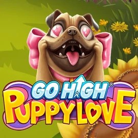 game logo by RubyPlay on spin-macho.org.pl